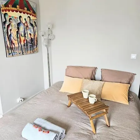 Le Cocoon, T2 Calme, Balcon, Entierement Renove Apartment